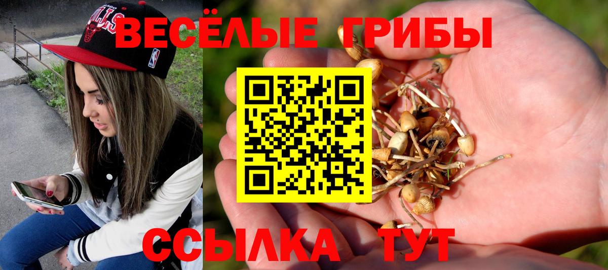 Псилоцибиновые грибы мицелий Стрежевой